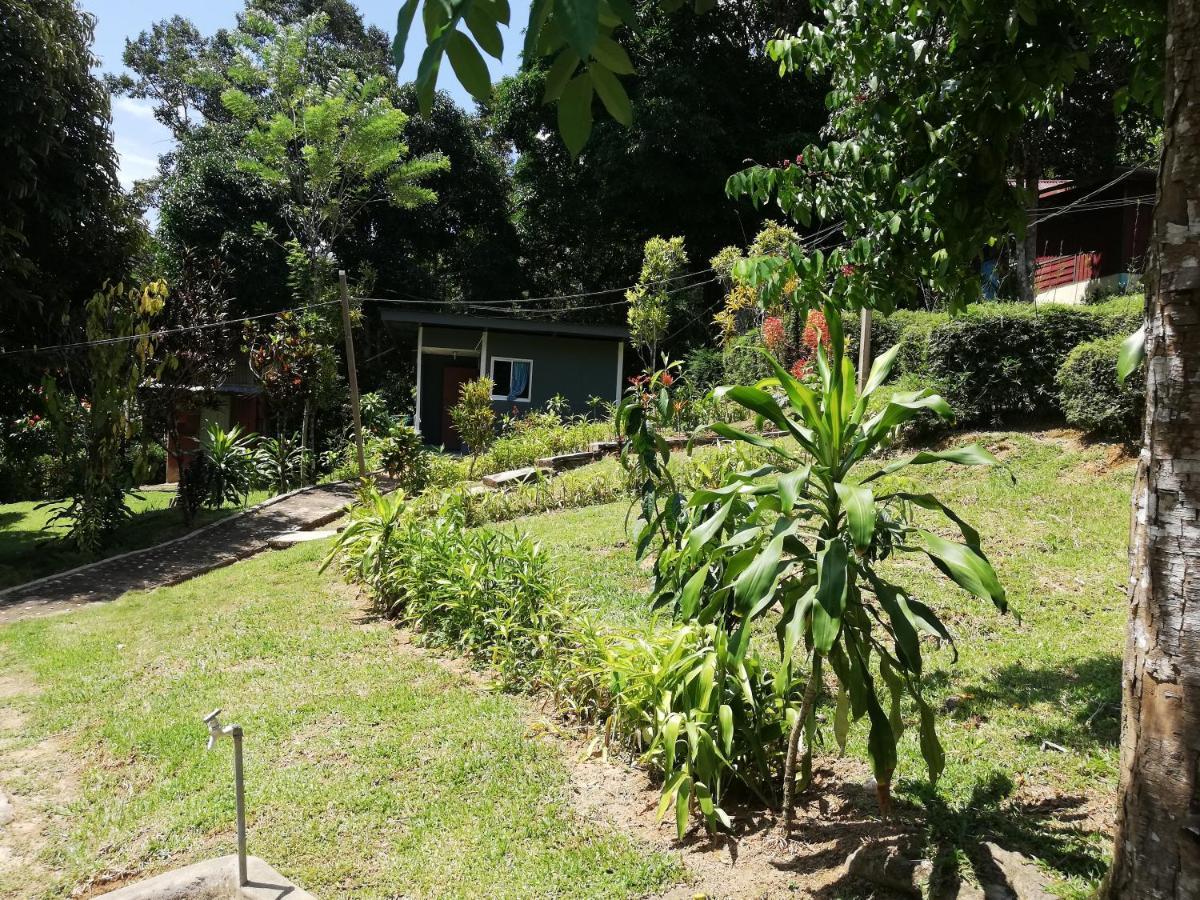 Durian Chalet Kuala Tahan Exterior foto