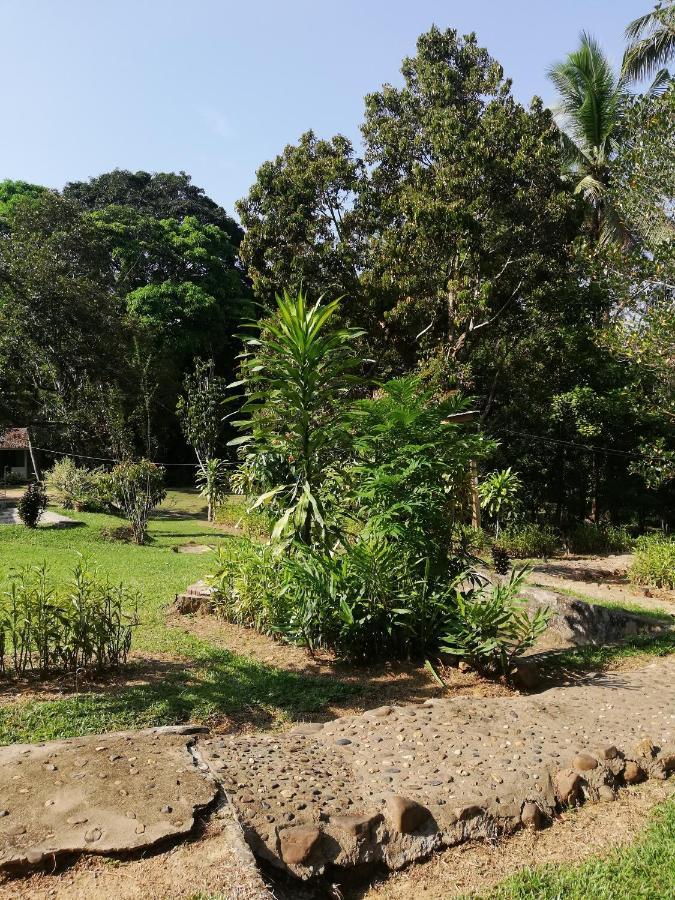 Durian Chalet Kuala Tahan Exterior foto